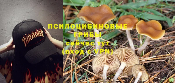 мдма Беломорск
