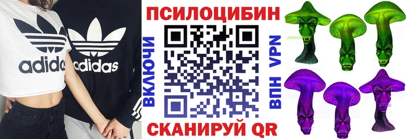 даркнет сайт  Курлово  ОМГ ОМГ   Галлюциногенные грибы мицелий 