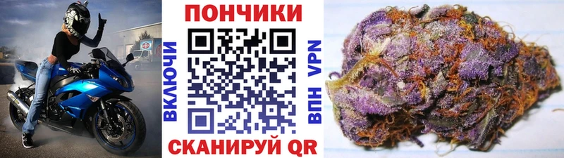 Бошки Шишки гибрид Курлово